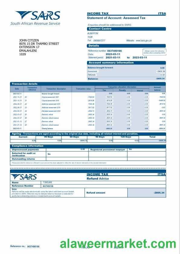 USA SARS bank statement Word and PDF template, 2 pages